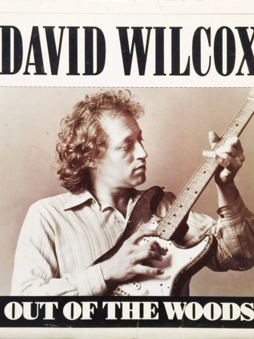 David Wilcox - Out Of The Woods